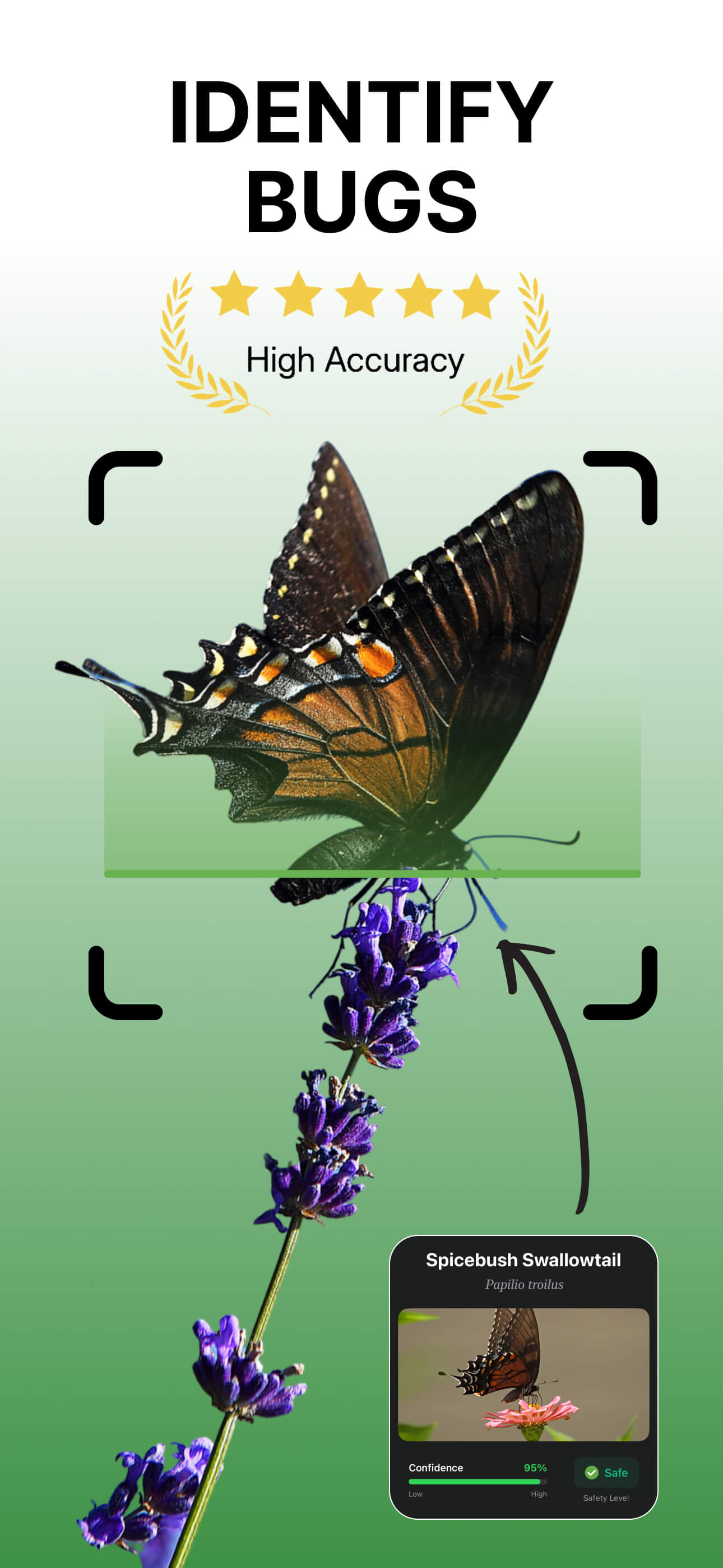 Bug Identifier app screenshots - screenshot 1