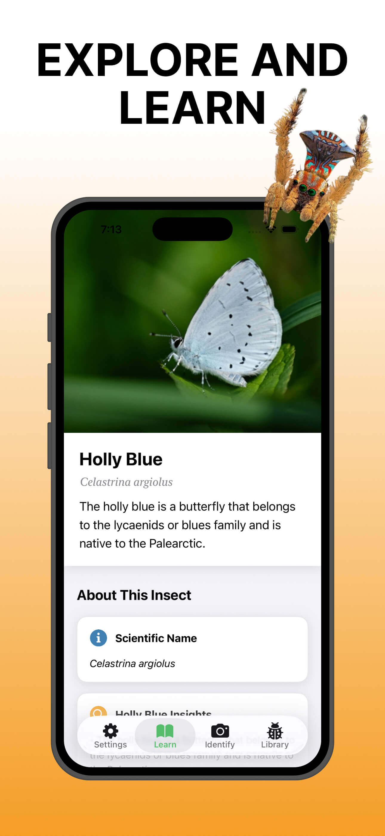 Bug Identifier app screenshots - screenshot 5