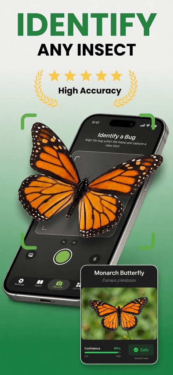 Picture Bug app identifying an insect from a photo and showing the species result
