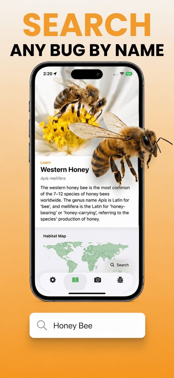 Personal bug collection screen in the Picture Bug app