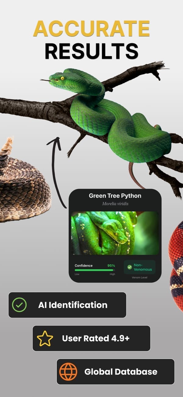 Snake species result screen with scientific name and venom level