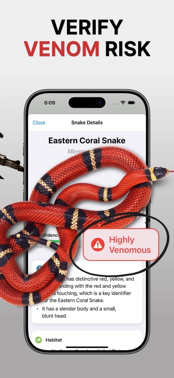 Snake safety information and handling precautions screen