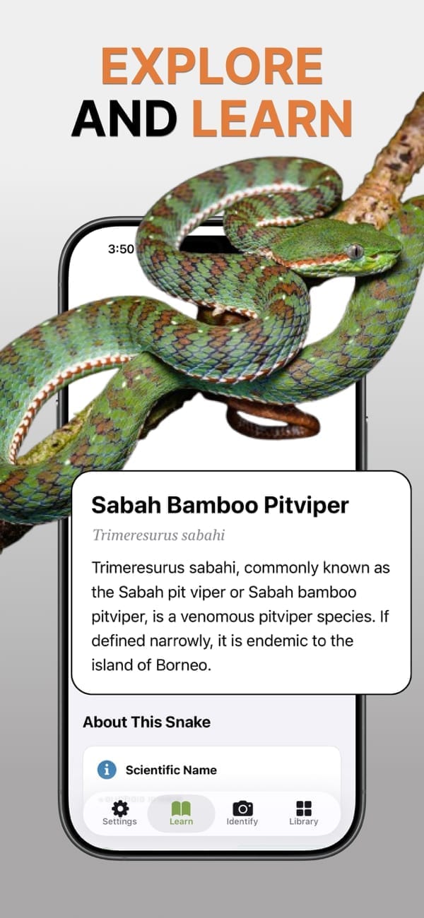 Snake of the Day educational content in the Snake Identifier app